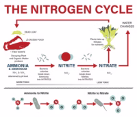The Science of Aquariums