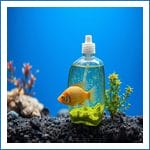 How to keep a healthy aquarium