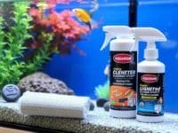 How to start an aquarium
