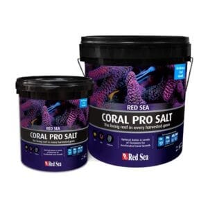 Salt 175G Bucket Regular Red Sea