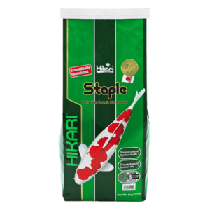 Hikari Staple 11lb (01282)
                            HK Staple 11lb