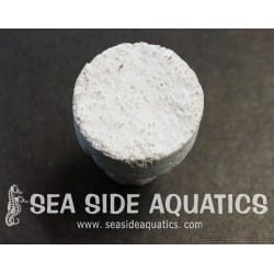 .75" Cement Frag Plug 50 PACK