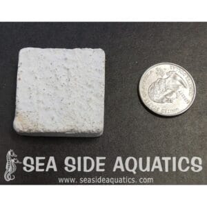 1.5" Cement Frag Square 100pcs per bag