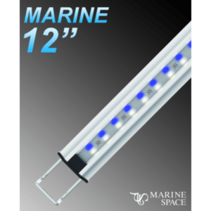 Zetlight MarineSpace 12" LED w/ Switch Marine
                            ZL MS-30M