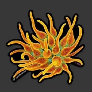 CSB nem Sticker by Lazy Coffee Design