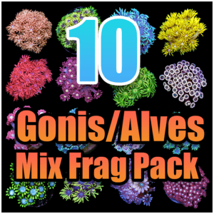 10 Assorted Goni/Alve Mix Frag Pack