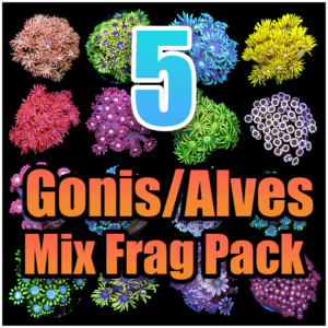 5 Assorted Goni/Alve Mix Frag Pack