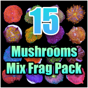 15 ASSORTED Mushroom MIX FRAG PACK