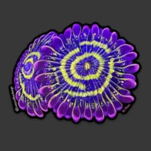 New Stratosphere Zoa Sticker by Lazy Coffee Design