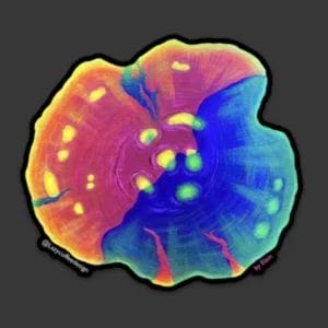 Rainbow chalice Sticker by Lazy Coffee Design