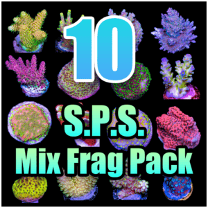 10 ASSORTED SPS MIX FRAG PACK