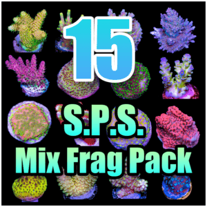 15 ASSORTED SPS MIX FRAG PACK