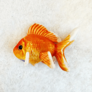 Stuffed Goldfish Plush