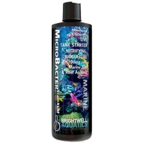 Brightwell Aquatics MicroBacter Start XLM